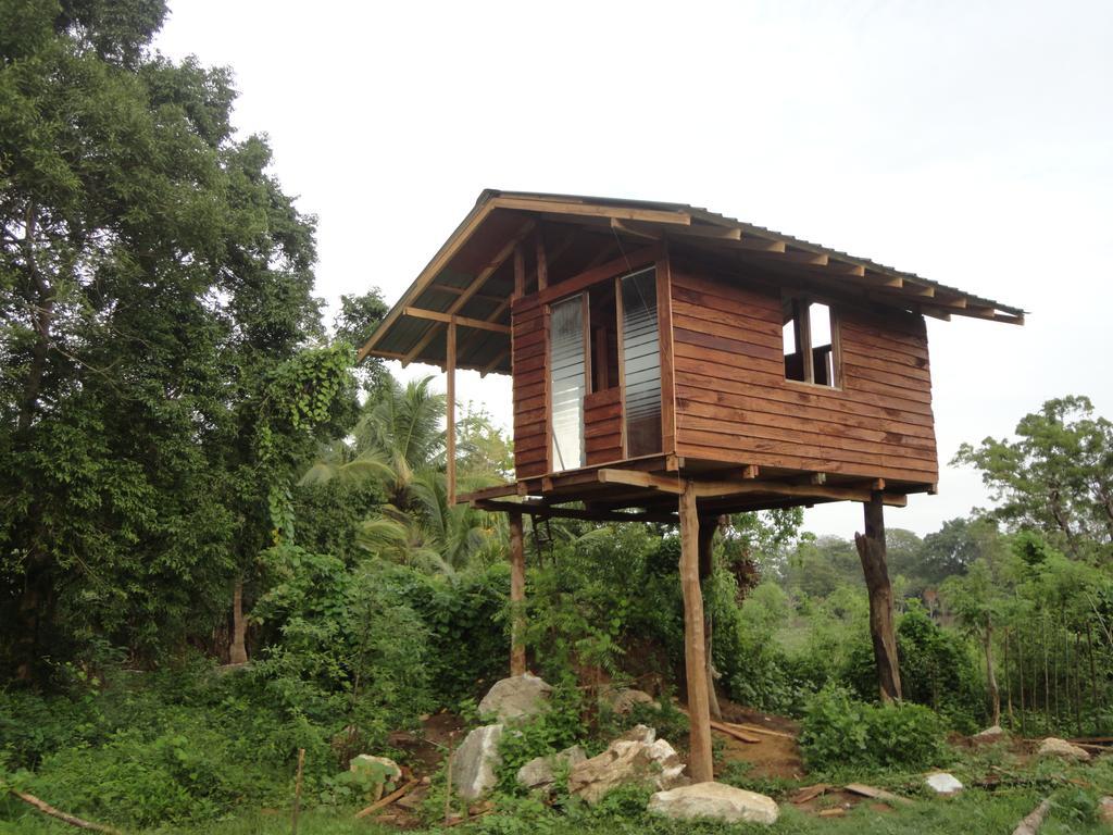 Sigiri Forest View Sigiriya Cameră foto