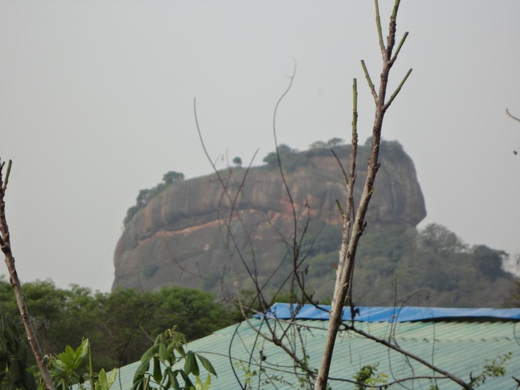 Sigiri Forest View Sigiriya Exterior foto