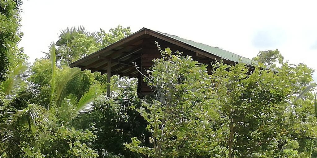 Sigiri Forest View Sigiriya Exterior foto
